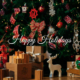 Happy Holidays from Summit Village Residences in Kamloops
