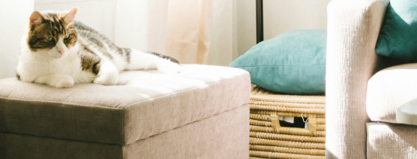 Storage ottoman in studio apartment