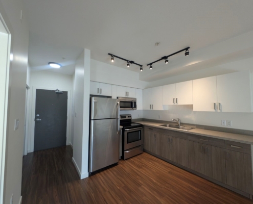 LED dome ceiling light at entrance, two LED 3-light strips in kitchen, fresh wall and ceiling paint.